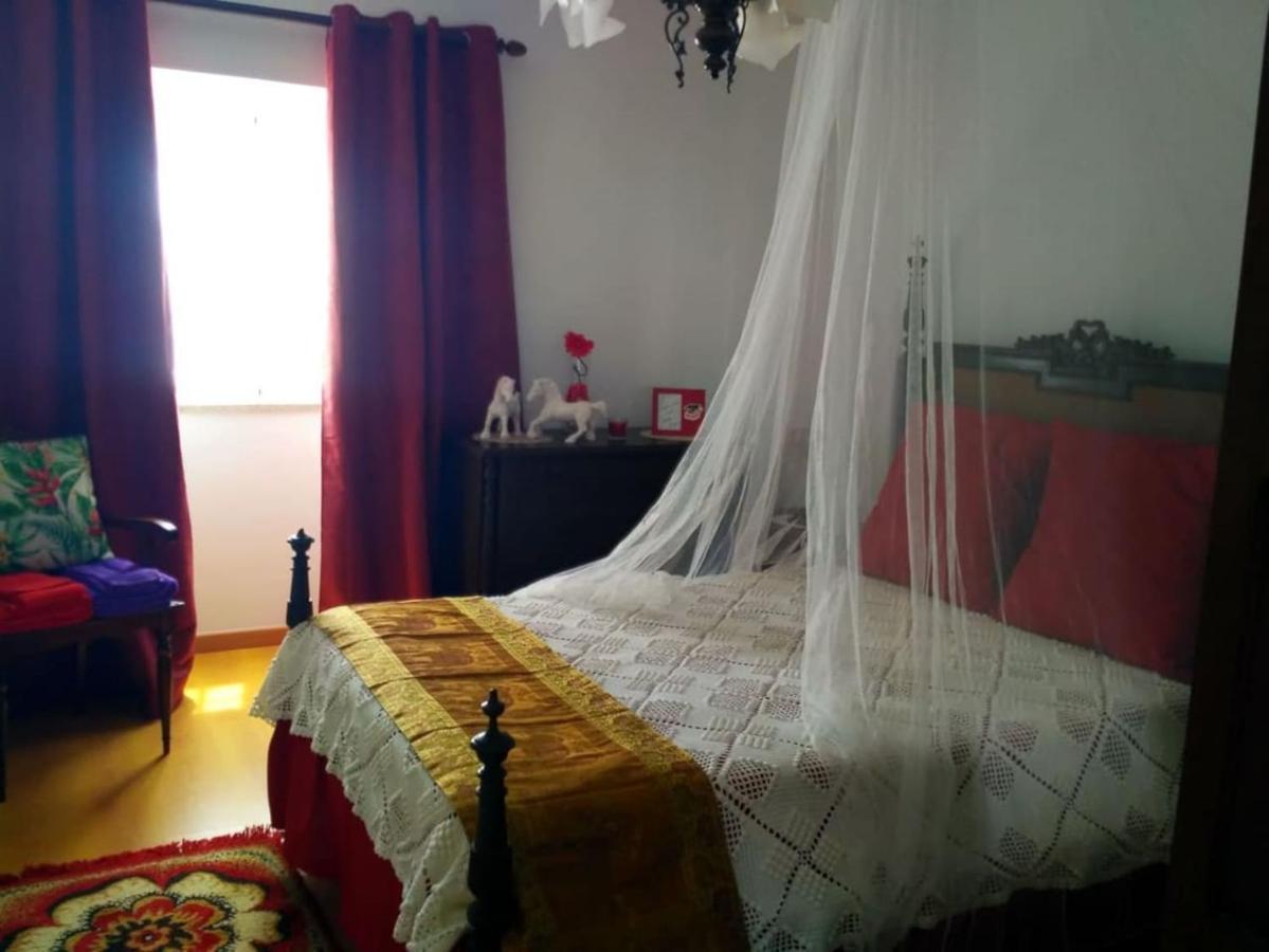 Villa Casa Aurora Penacova Esterno foto