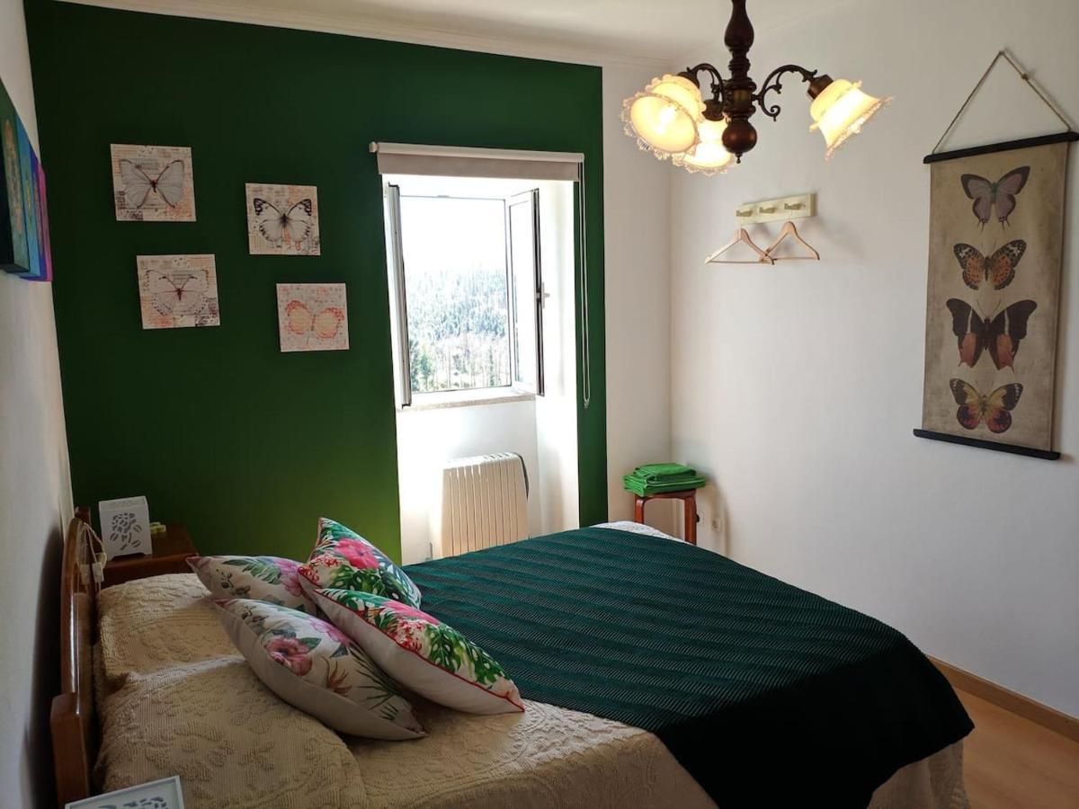 Villa Casa Aurora Penacova Esterno foto